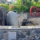 송실목장 이미지