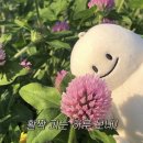 심곡약국 | 5월 일상