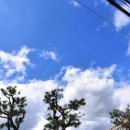 봉곡동173 이미지