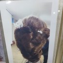 연헤어샵 이미지