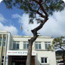 강진면사무소 이미지