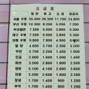 천일여객 영산정류소 이미지