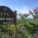 강서부산농장 이미지