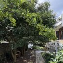 명선목장 이미지