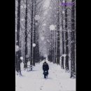 하늘고시원 - 은평구 진흥로 126 | 하늘고시원