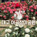 성곡초등학교 | 대구 이곡장미공원 아기랑 가볼만한곳 5월 18일 후기