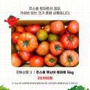 생생팜 네이버블로그
