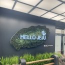 (주)뉴월드탑동점 | 제주 한라산 성판악 숙소 돈내코힐리조트 / 제주에서 핫앤쿡 구매하기