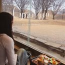 카페베리 앞 도로 | 경주 황리단길 신상 카페 봉황당 후기 Ι 분위기·디저트