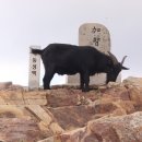 20230812-3번째 영남알프스 가지산 이미지