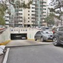 분당-208 이미지