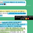 단계로 | 보미오라 다이어트환 신제품 7,8,9단계 출시 / 디톡스환3단계 ✅하드 가 약하다면 단계선택 꿀팁 (리얼후기)