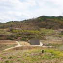 안평농장 이미지