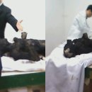 정진주유소 이미지