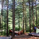 덕유산자연휴양림 이미지