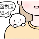 청플라워디자인학원