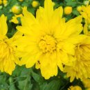 익산공용버스터미널 이미지