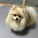 디팡 매트 후기