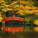 놀이터존 이미지