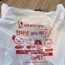 이츠펫 본점 이미지