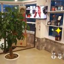 파파동물병원 이미지