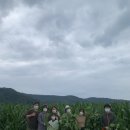 토담농장 이미지