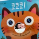 (주)모비아넷 | 5월 뒤죽박죽 일기 (3)