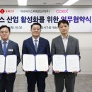 마이스 이미지