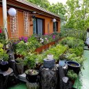 하늘정원3 이미지