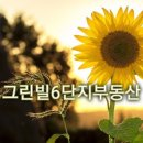 부동산임대 이미지