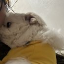 괴산 탈출 후 그녀의 삶=계란.