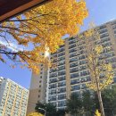 시립중랑청소년수련관 | [한울회 3기] Ep9. 기관탐방을 해보아요! : 시립중랑청소년센터