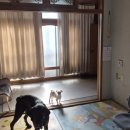 남밀양농협주유소 이미지