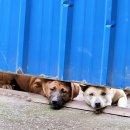 김영근 농장 이미지