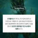 볼라욘