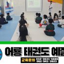 어룡태권도 이미지