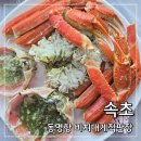 대게직판장 | 속초 여행 대게 맛집, 동명항 비치대게직판장 내돈내산 후기 (아이파크스위트호텔 근처)