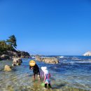 자작도조은민박 이미지