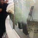 멍멍이가 있는 집 이미지