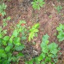 한서진농장 이미지