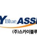 스카이블루 이미지