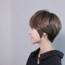 컷트의 성지