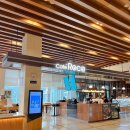 로카와 델피노2 이미지