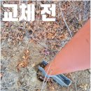 NR-1[경수대로]-하-22 | 스텐 반사경 파손 교체 보수 업체