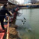 톨게이트 낚시터 이미지