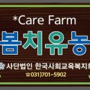 인지농장 이미지