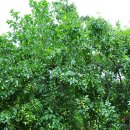 가느니농장 이미지