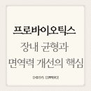 초이커머스 네이버블로그