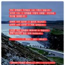 반려견과 더불어 사는 법 | 자신의 사적인 평화는 스스로 지켜야 한다