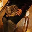 선동물병원 이미지